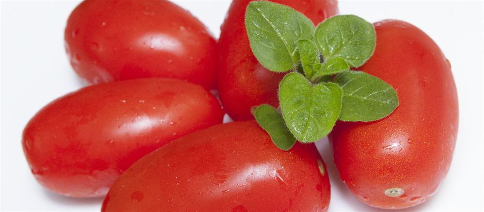 Caprese di pomodoro tomperinos e burratina