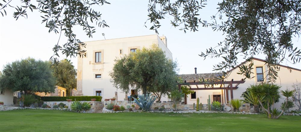Controfiletto di bovino di razza modicana grigliato su letto di pomodoro tomperinos confit