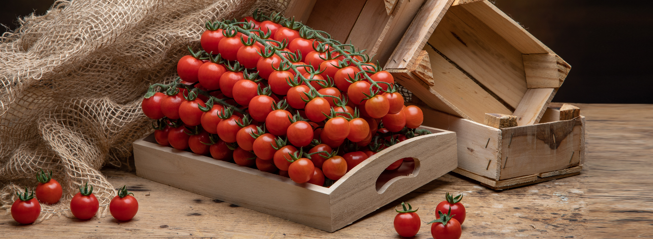 Pomodoro 2