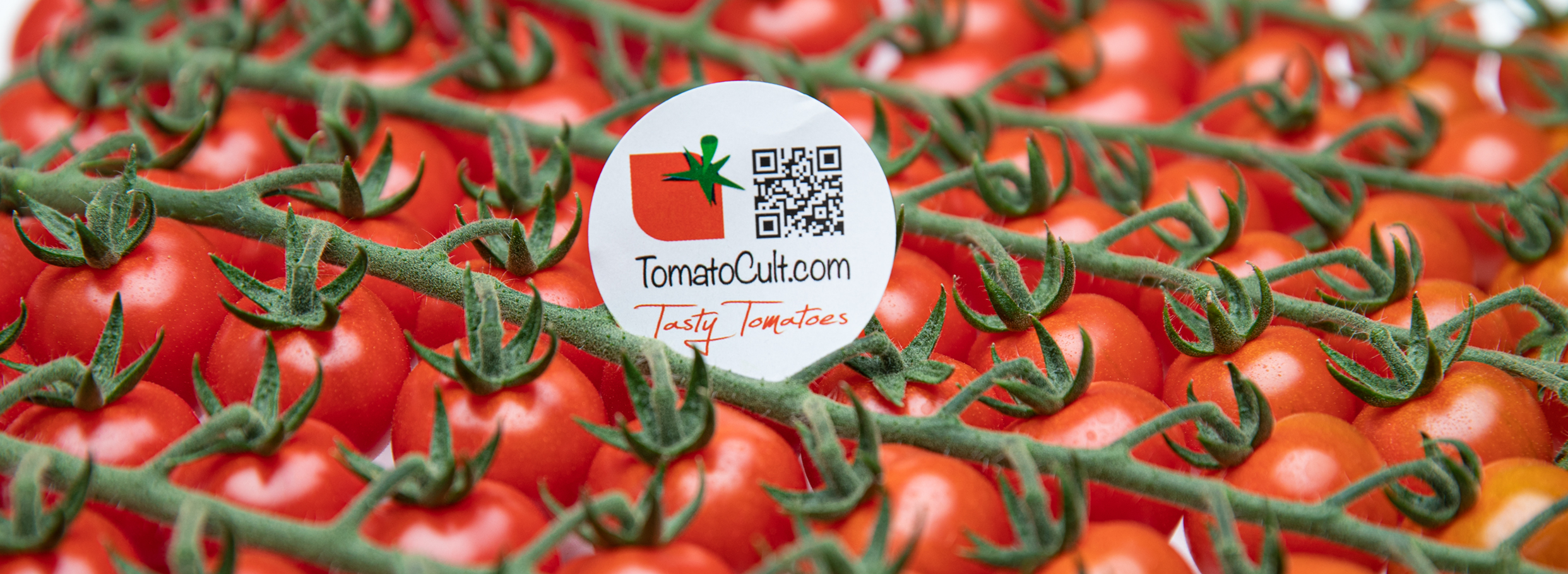 Pomodoro 5