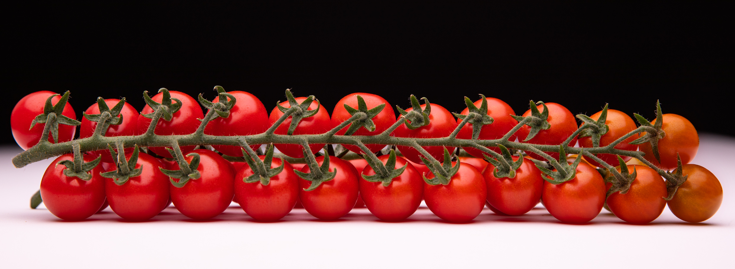 Pomodoro 6