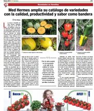 Immagine Ricetta